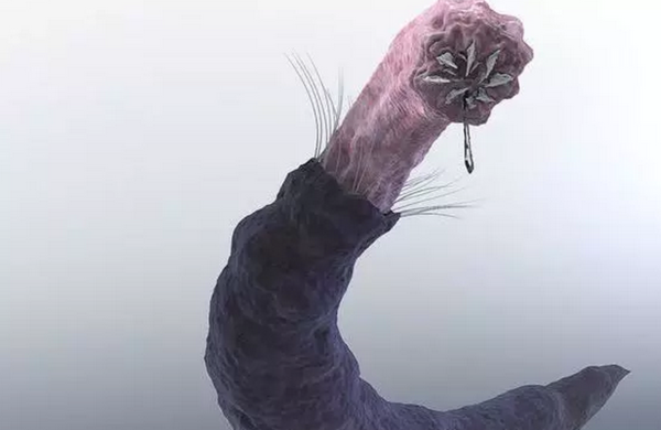 蒙古死亡之虫：毒液可使人体腐烂，体长达五米（图片）