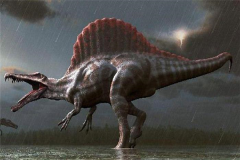 棘龙的天敌是什么恐龙 再厉害的恐龙都有天敌