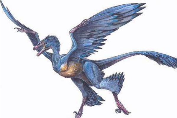 背上长翅膀的恐龙图片
