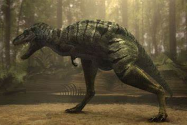 最长的肉食性恐龙图片