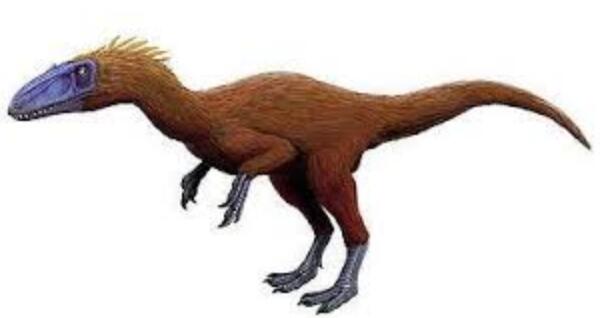世界上最小的食肉恐龙图片