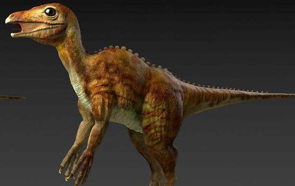 杂食性恐龙外形特征图片