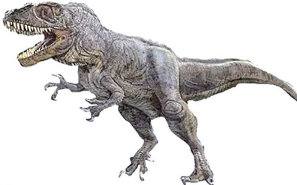 永川龙:亚洲最完整的食肉恐龙(长11米\/1.63亿年前)
