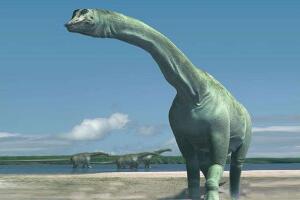 拉布拉达龙：阿根廷大型食草恐龙（长18米/6500万年前）