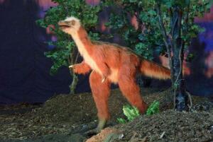 阿瓦拉慈龙：外形似鸟的小型恐龙（长2米/阿根廷出土）