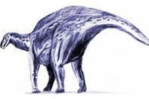 短劲潘龙：阿根廷大型食草恐龙（长10米/1.45亿年前）