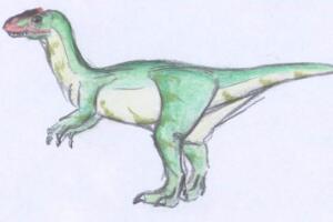 科罗拉多斯龙：阿根廷小型食草恐龙（长4米/2.19亿年前）