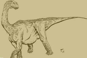 巴塔哥尼亚龙：阿根廷超巨型恐龙（长20米/1.63亿年前）