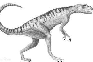 巴塔哥尼亚爪龙：阿根廷小型恐龙（长2米/9000万年前）