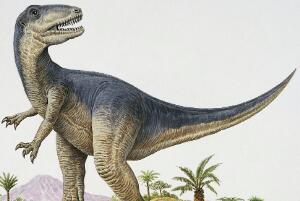 皮亚尼兹基龙：阿根廷中型恐龙（长4.3米/1.63亿年前）