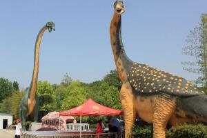 宝天曼龙：中国巨型食草恐龙（长25米/距今7000万年前）