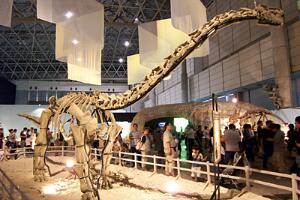苏尼特龙：亚洲大型食草恐龙（长9米/距今6500万年前）