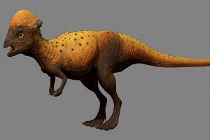 圆头龙：北美洲小型食草恐龙（生活在白垩纪晚期的美国）