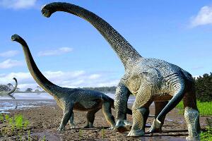 草原龙：大洋洲巨型恐龙（长15/距今1.25亿年前）