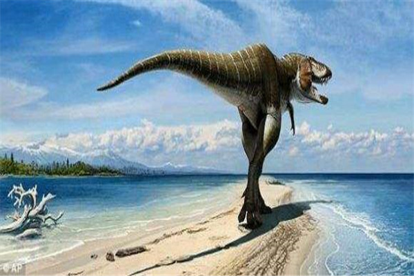 艾伯塔龙分布于北美洲西部的恐龙肉食恐龙