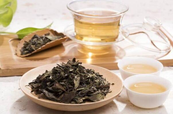 白茶适合什么季节喝好(白茶多少钱一斤2023)