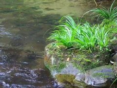 ӱʯͷϵġӲݡȴʯ
