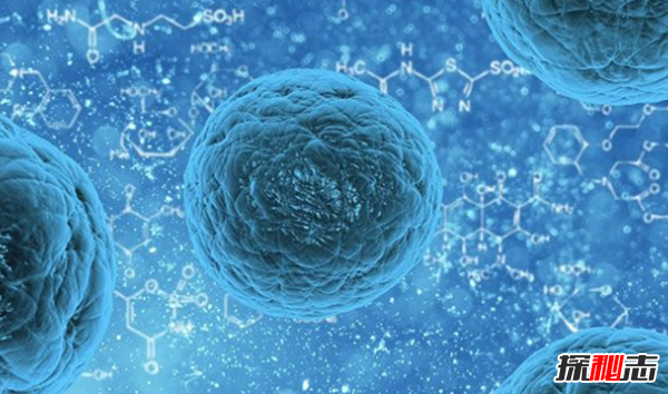 宇宙大小已被科学家证实?人类最伟大的十个科学发现(图8)