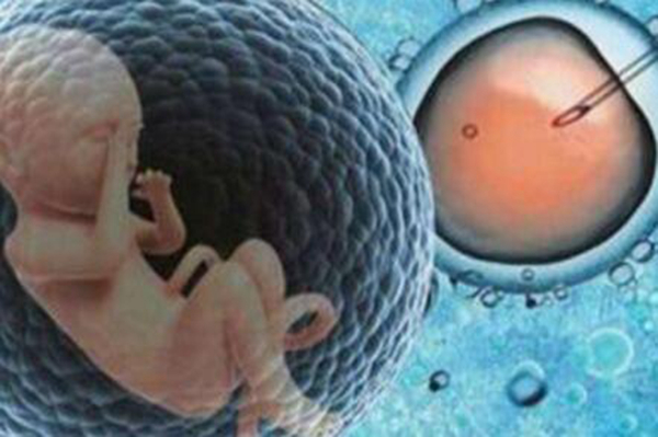 赠卵试管婴儿要取几次精子-如何取精-何时取精