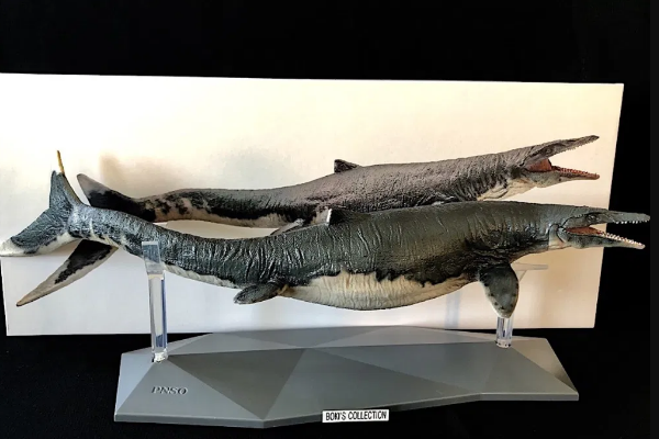 霍夫曼沧龙沧龙科最大的物种最长19米出土