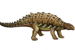 森林龙:最原始的甲龙类(长6米/第三种发现的恐龙)