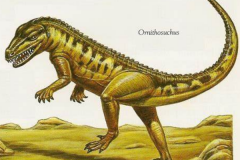 鸟鳄龙:小型初龙类生物(长1米/以昆虫和蜥蜴为食)