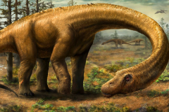 施氏无畏龙:全球最大恐龙化石(长26米/尾椎骨占1/4)