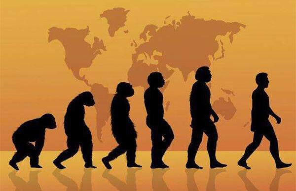 地球上第一个人是谁，20岁的女猿人露西（距今320万年）(图4)