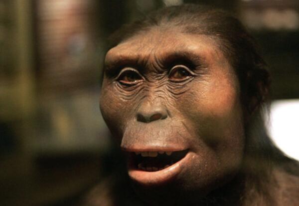 地球上第一个人是谁，20岁的女猿人露西（距今320万年）(图1)