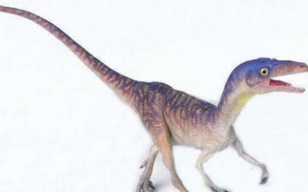 中国上仅剩一只的恐龙图片