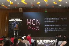 MCN是什么意思：多频道网络(网红背后的推手)