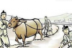 古代哪些朝代是禁止杀牛的？(汉朝、唐朝、宋朝等)
