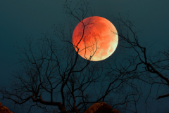 血月是怎么回事：天空中出现红色的月亮(是种自然现象)