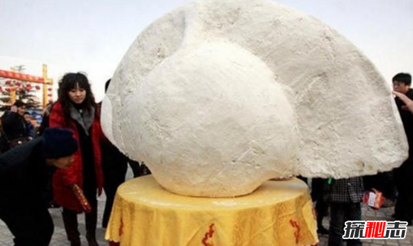 世界上最大的饺子：共2011种不同口味(附图片)