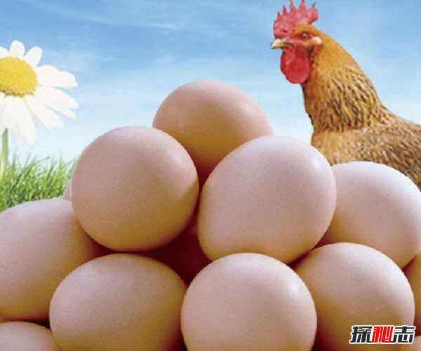 最贵的鸡蛋多少钱一个?揭世界上最贵的鸡蛋