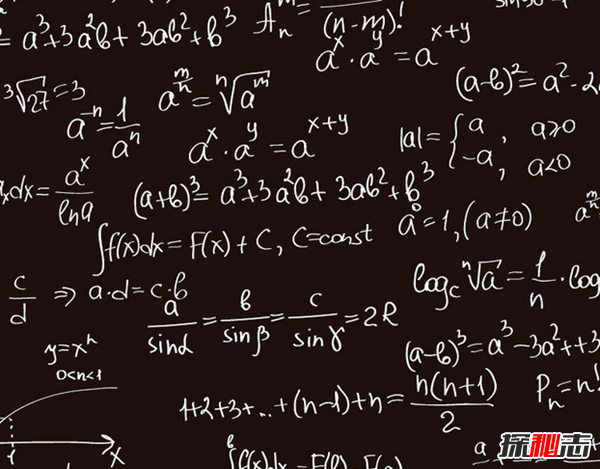 数学界四大巨人有哪些?第二数学巨人智商305