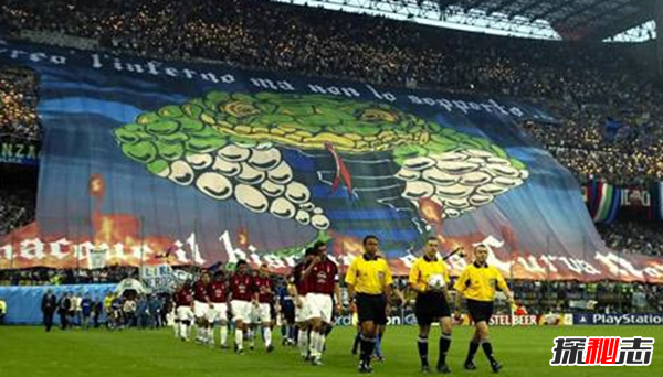 TIFO,дʲô