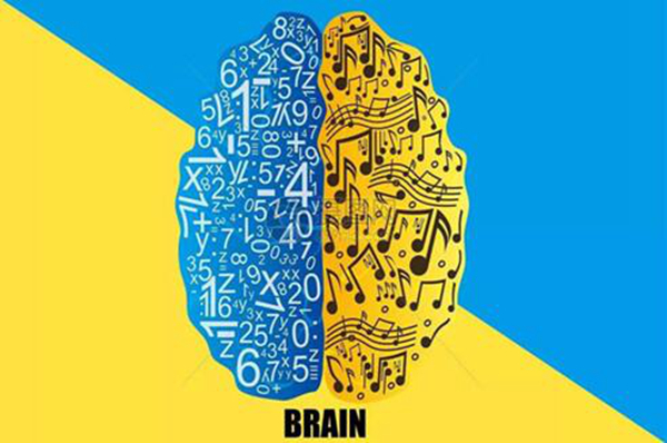 左腦和右腦有區別嗎?左腦右腦哪個更發達的人聰明些