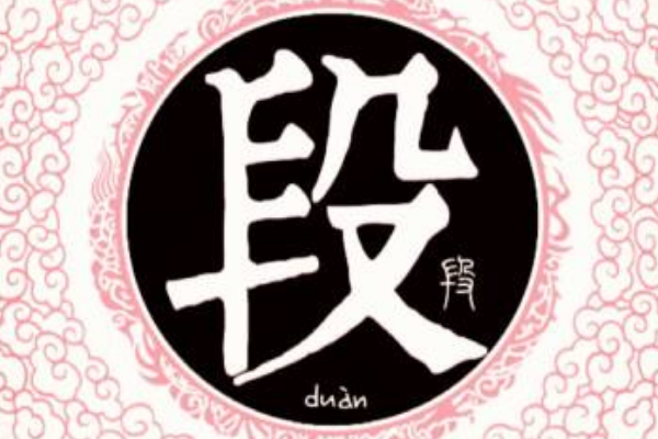 段姓logo图片