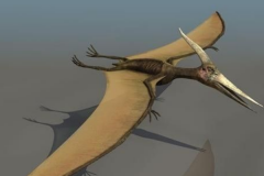 翼龙为什么不属于恐龙?进化过程和生物定义都不同