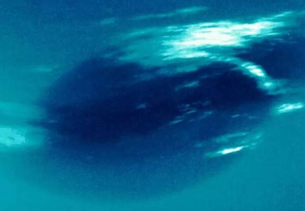 海王星有海吗，外表无液态水（内部有一片水氨海洋）(图2)