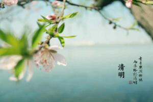 清明节气的含义是什么，清新明朗气候暖和（每年4月5号前后）