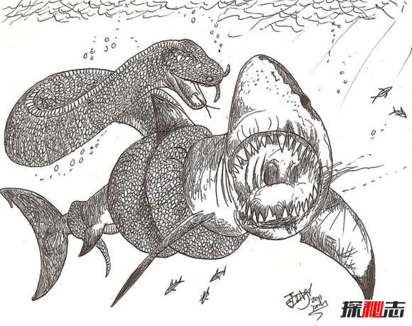 巨型海蛇插图