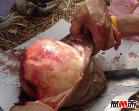 古代著名的吃人魔王:朱粲(用人肉做军粮吃人上瘾)