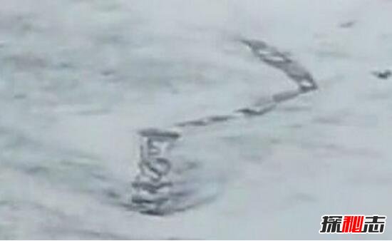 揭秘冰島水怪之謎，游走于水面的巨蟒(被質疑造假)