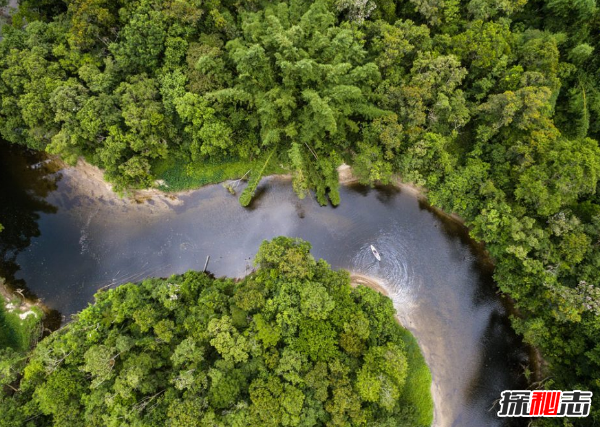 亚马逊雨林现状如何?亚马逊雨林的十大恐怖之处