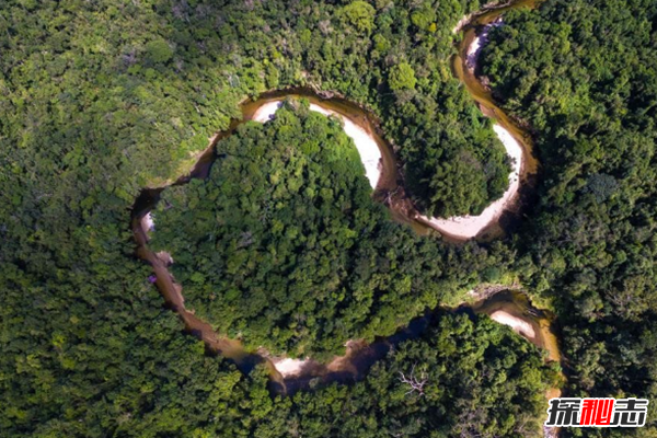 亚马逊雨林现状如何?亚马逊雨林的十大恐怖之处