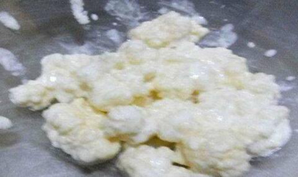 用牛奶养的雪莲菌有危害吗 雪莲菌的功效有哪些(图2)
