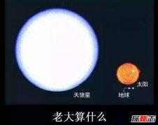 天狼星是否比太阳大？天狼星的质量是太阳多少倍