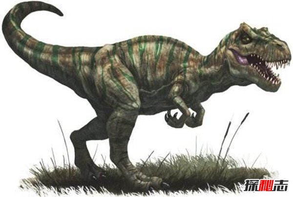 吉龙恐龙百科图片